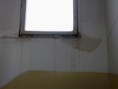 /album/strecha-2011/strecha-katovicka-17-jpg1/